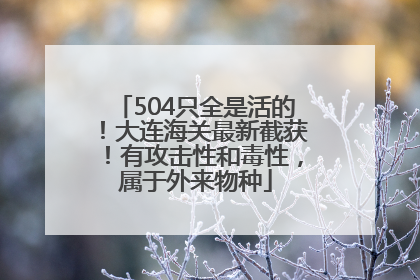 504只全是活的！大连海关最新截获！有攻击性和毒性，属于外来物种