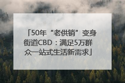 50年“老供销”变身街道CBD:满足5万群众一站式生活新需求