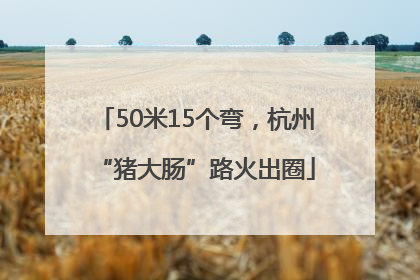 50米15个弯，杭州“猪大肠”路火出圈