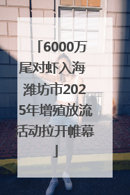 6000万尾对虾入海 潍坊市2025年增殖放流活动拉开帷幕