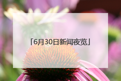 6月30日新闻夜览