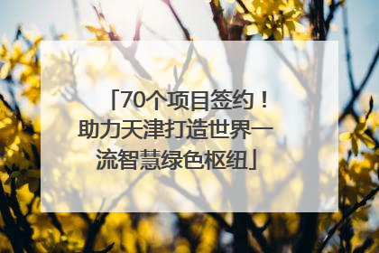 70个项目签约！助力天津打造世界一流智慧绿色枢纽