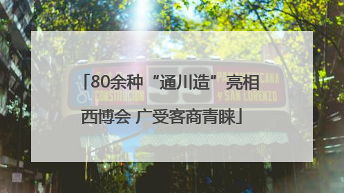 80余种“通川造”亮相西博会 广受客商青睐