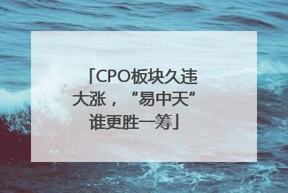 CPO板块久违大涨，“易中天”谁更胜一筹