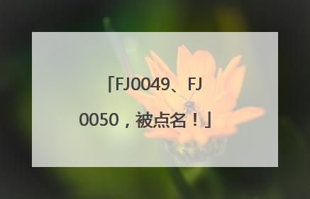 FJ0049、FJ0050，被点名！