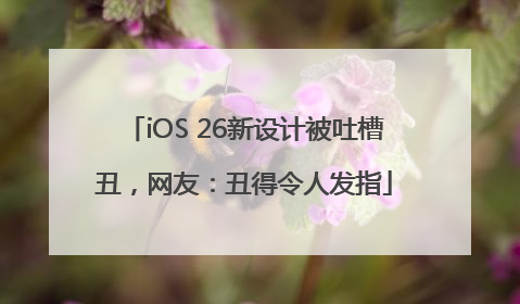 iOS 26新设计被吐槽丑，网友：丑得令人发指